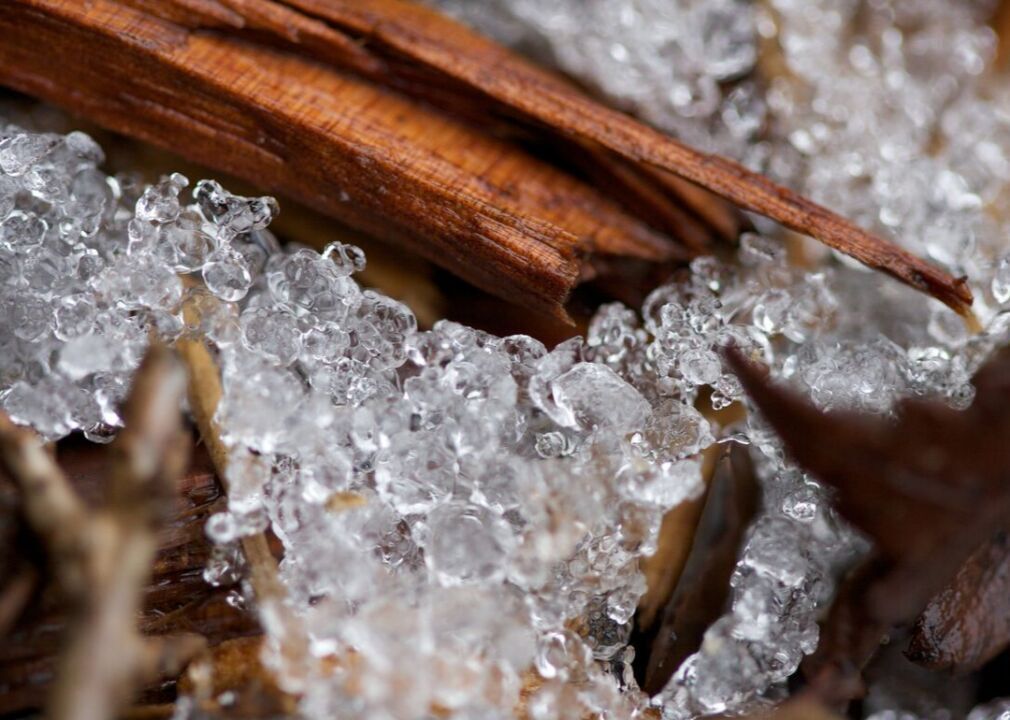 Sleet